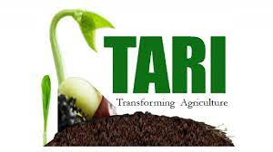 tari